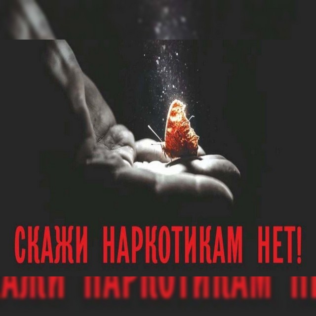 foto 2025 06 27 16 19 005